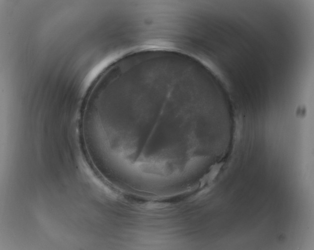 X0000111221325200907021325