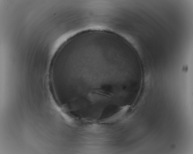 X0000111221327200907021325