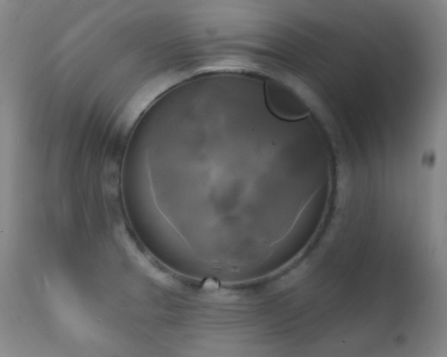 X0000111221329200907021325
