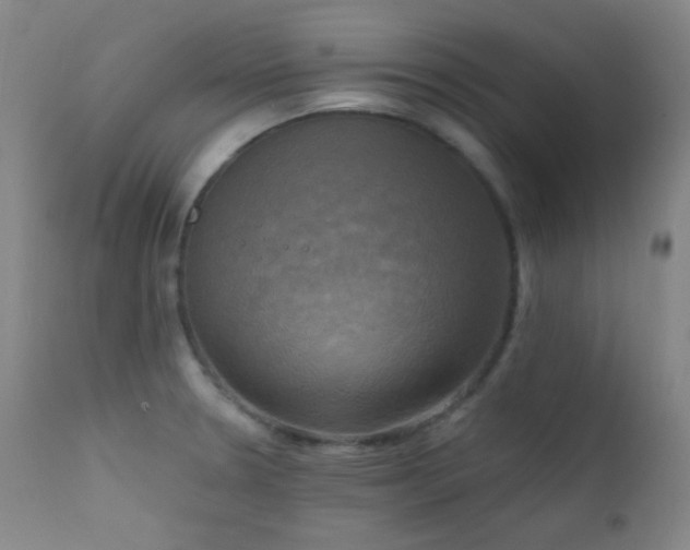 X0000111221330200907021325