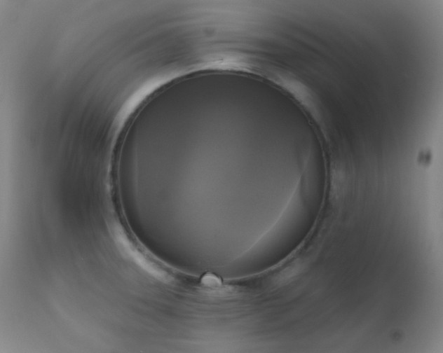 X0000111221331200907021325