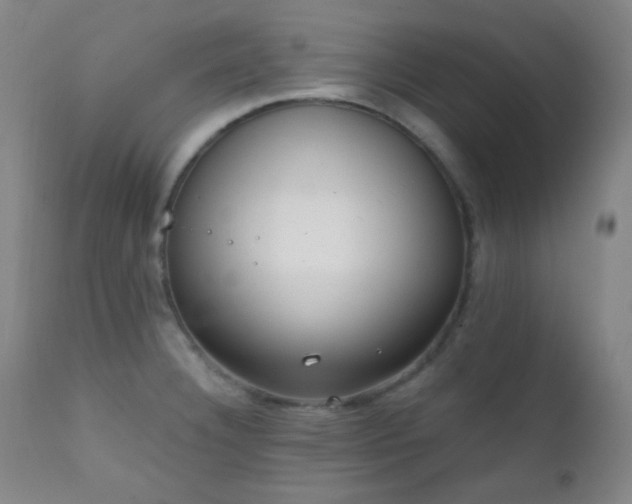 X0000111221332200907021325