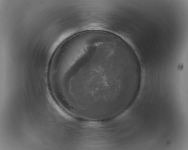 X0000111221333200907021325