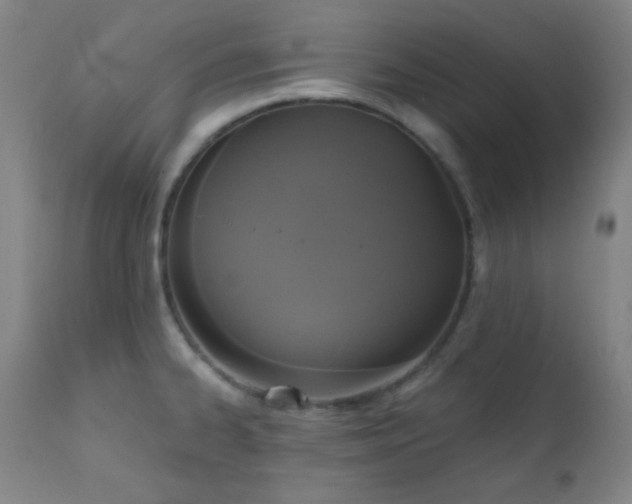 X0000111221334200907021325