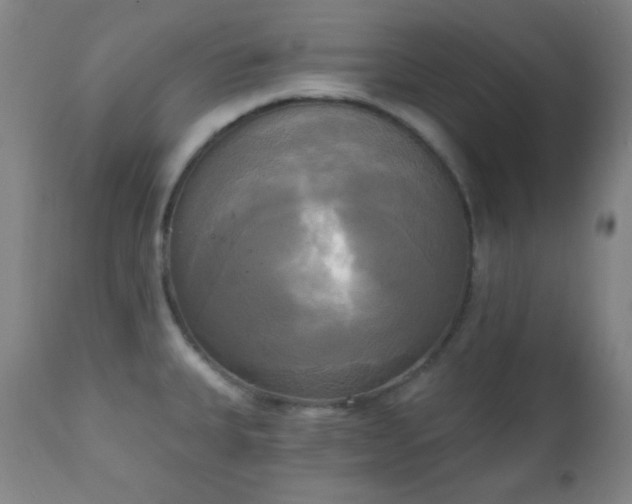 X0000111221335200907021325