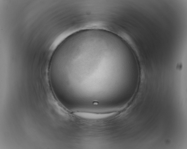 X0000111221336200907021325