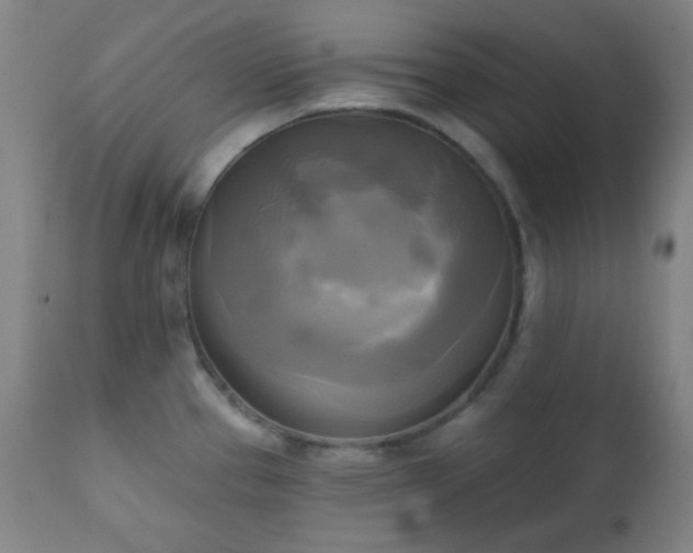 X0000111221337200907021325