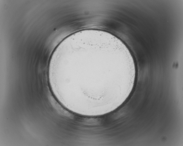 X0000111221338200907021325