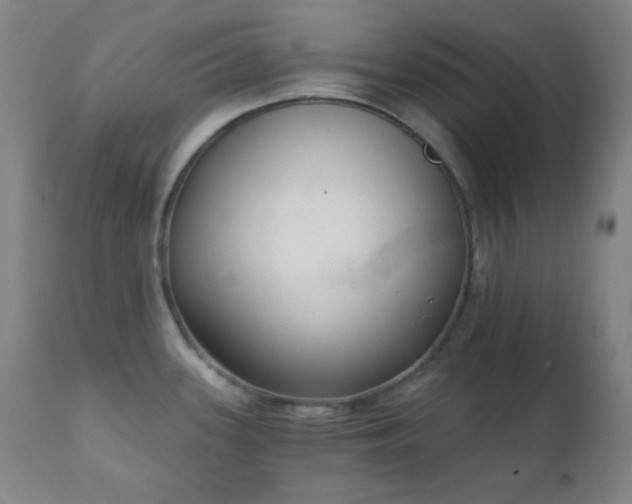 X0000111221339200907021325