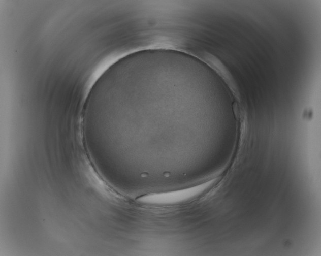 X0000111221340200907021325