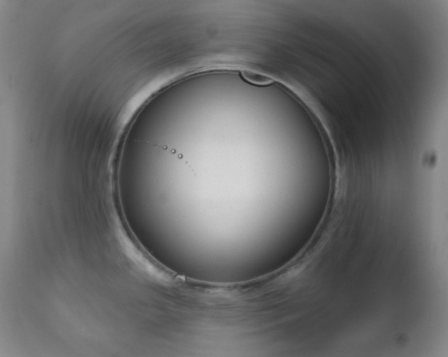 X0000111221341200907021325