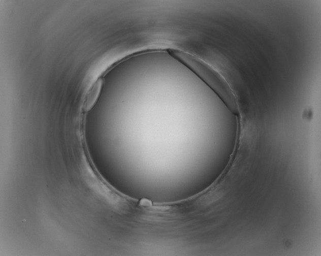 X0000111221342200907021325