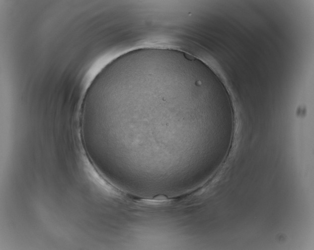 X0000111221344200907021325