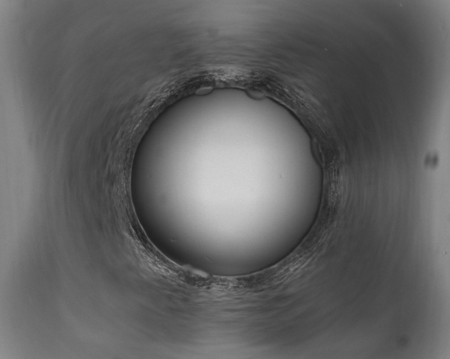 X0000111221345200907021324