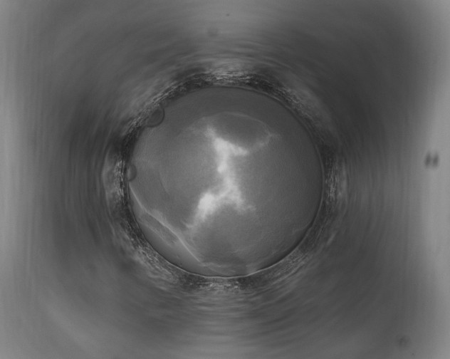X0000111221346200907021324