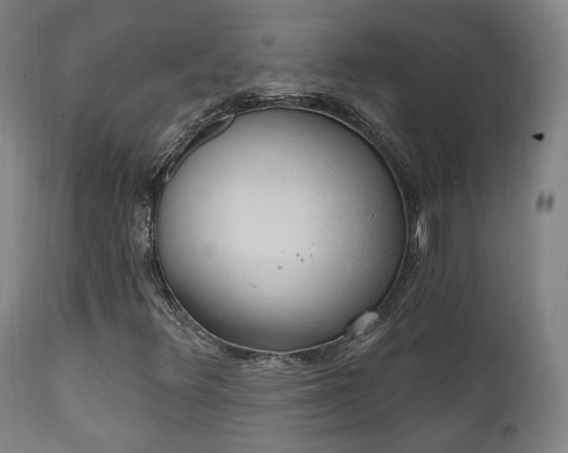X0000111221348200907021324