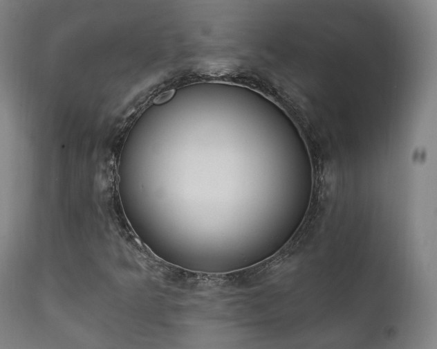 X0000111221349200907021324
