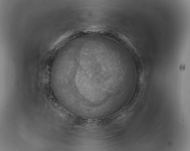 X0000111221350200907021324
