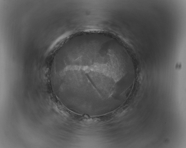 X0000111221351200907021324