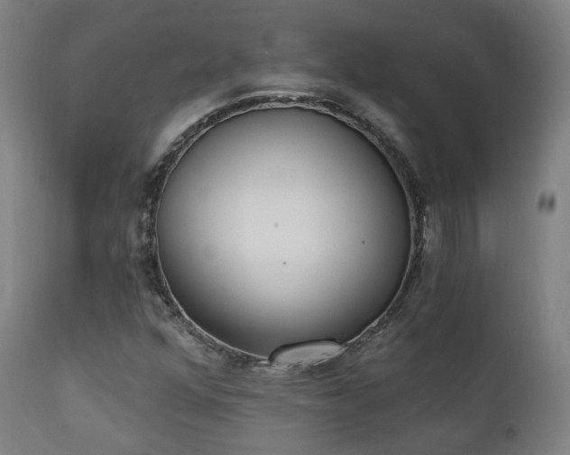 X0000111221352200907021324