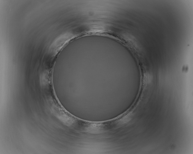 X0000111221353200907021324