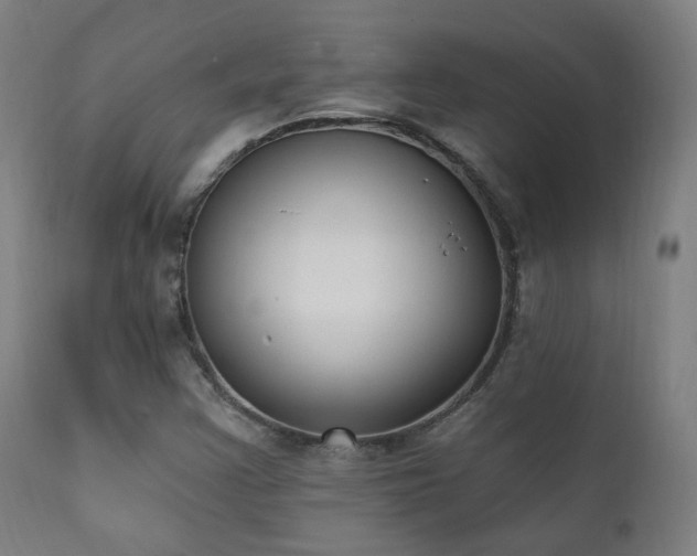 X0000111221355200907021324
