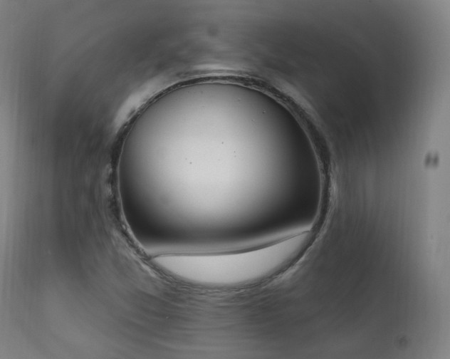 X0000111221357200907021324