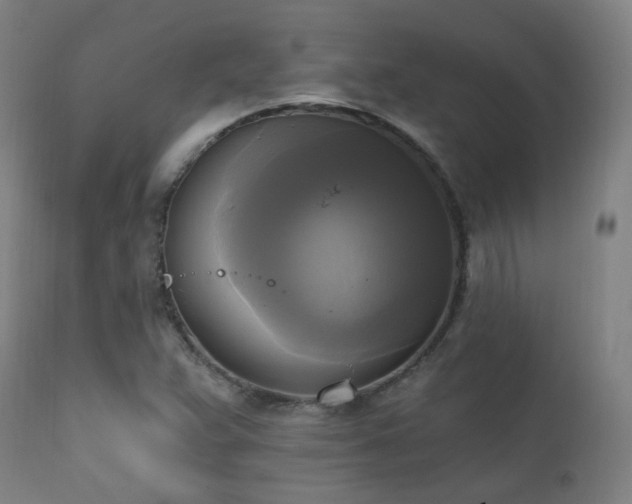 X0000111221359200907021324