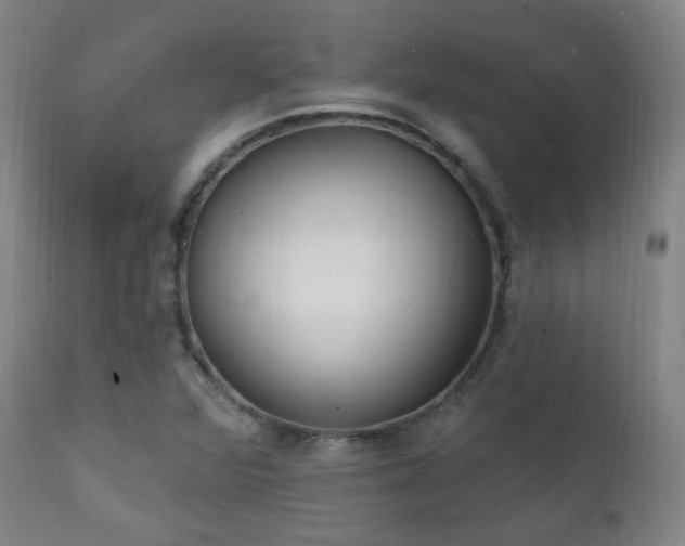 X0000111221360200907021324