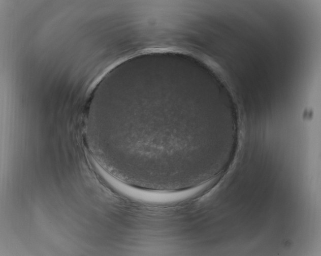 X0000111221361200907021324