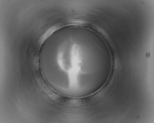 X0000111221362200907021324