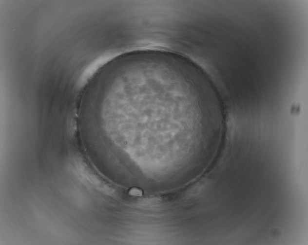 X0000111221363200907021324