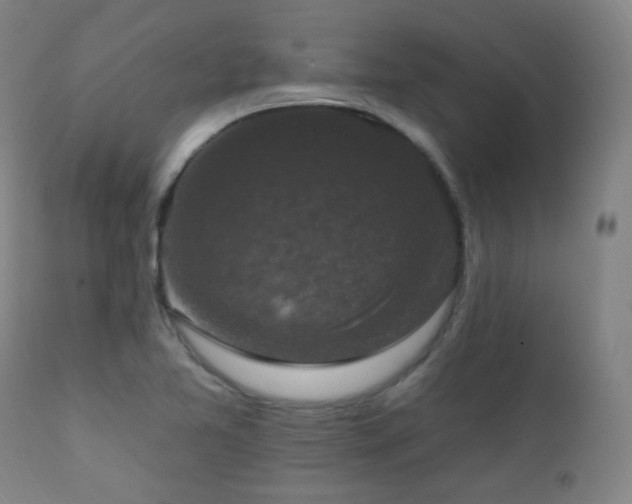 X0000111221365200907021324