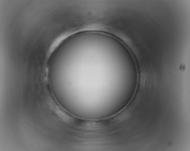 X0000111221366200907021324