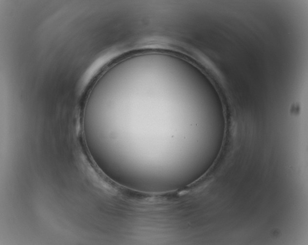X0000111221368200907021324