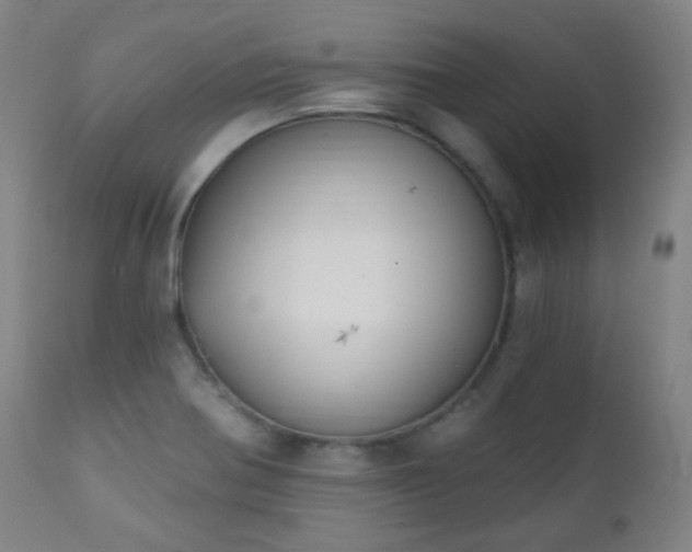 X0000111221370200907021324