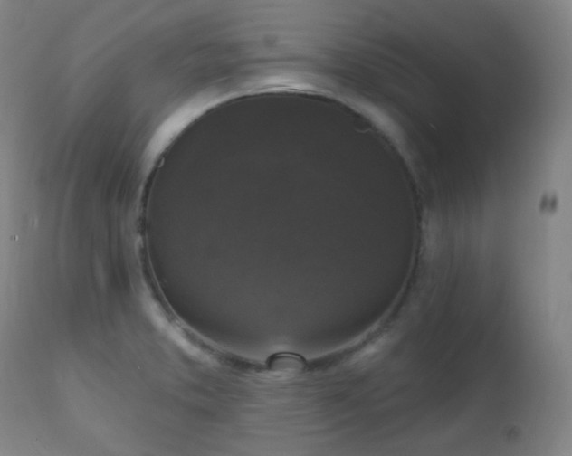 X0000111221373200907021324
