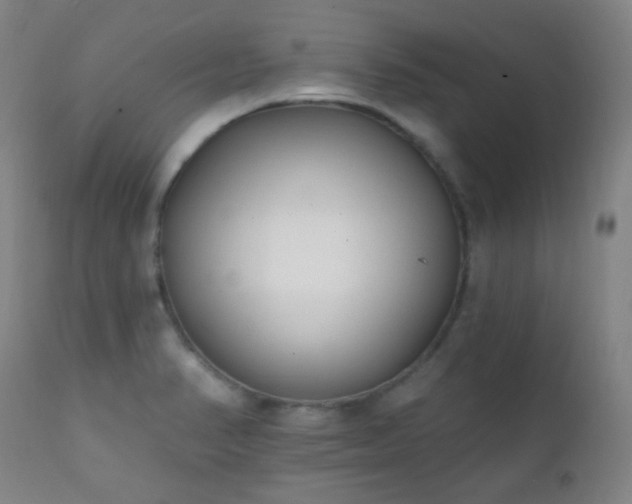 X0000111221374200907021324
