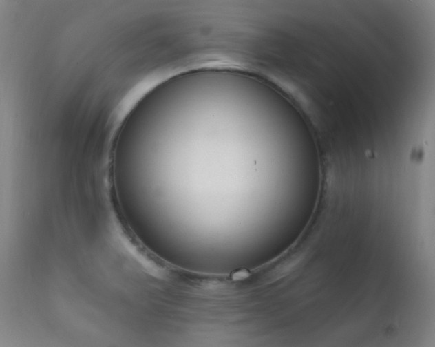 X0000111221375200907021324