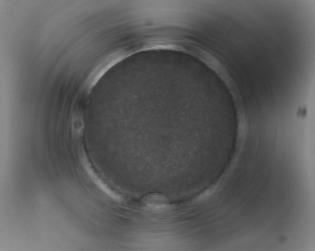 X0000111221377200907021324