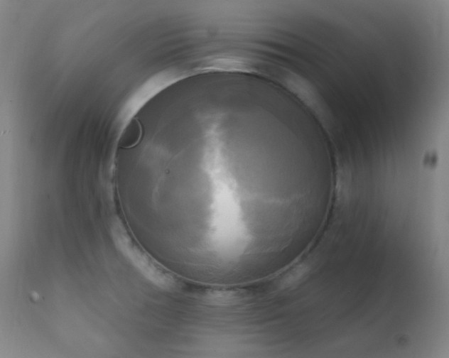 X0000111221378200907021324