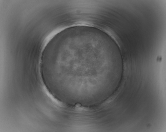 X0000111221379200907021324