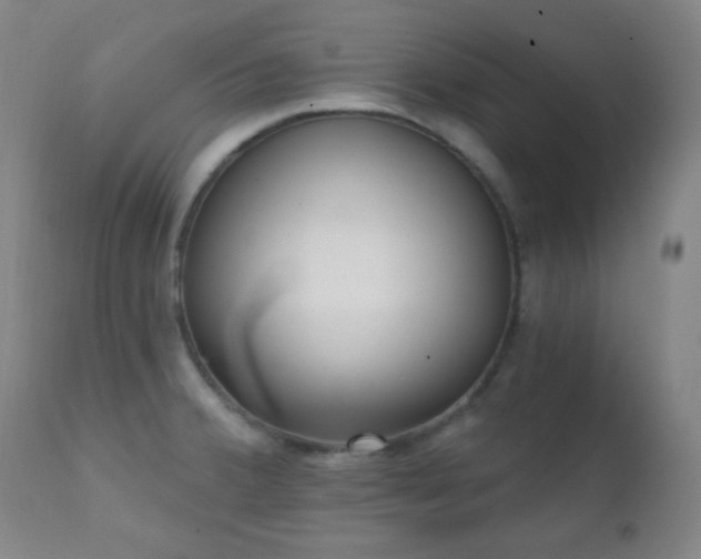 X0000111221380200907021324