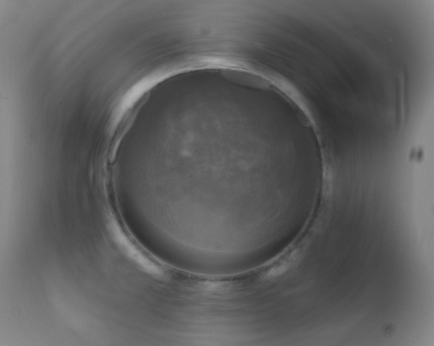 X0000111221381200907021324
