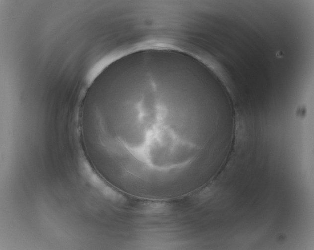 X0000111221382200907021324