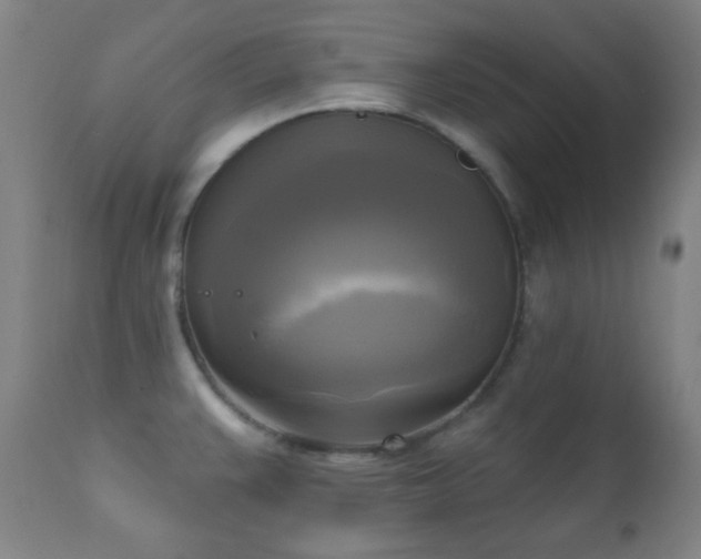 X0000111221383200907021324