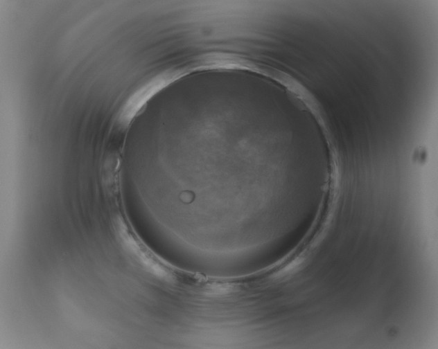 X0000111221385200907021324