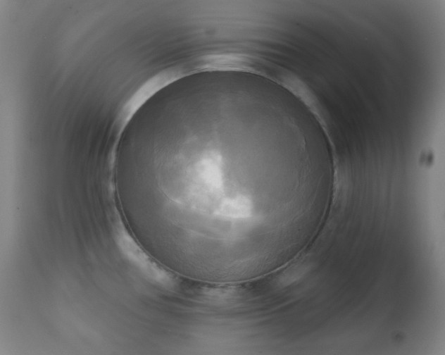X0000111221386200907021324