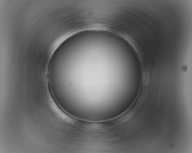 X0000111221387200907021324