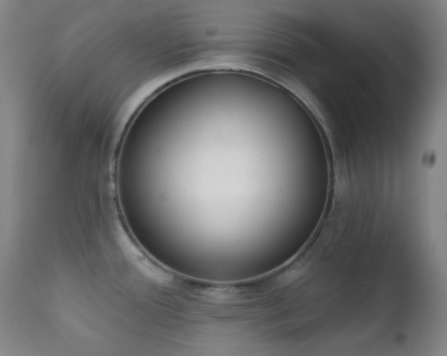 X0000111221388200907021324